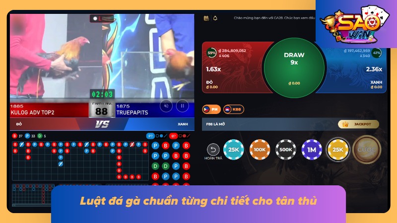 Luật chơi chi tiết cho tân thủ từ A đến Z