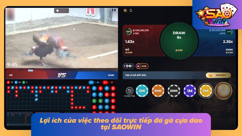 Ưu điểm của việc theo dõi trực tiếp đá gà