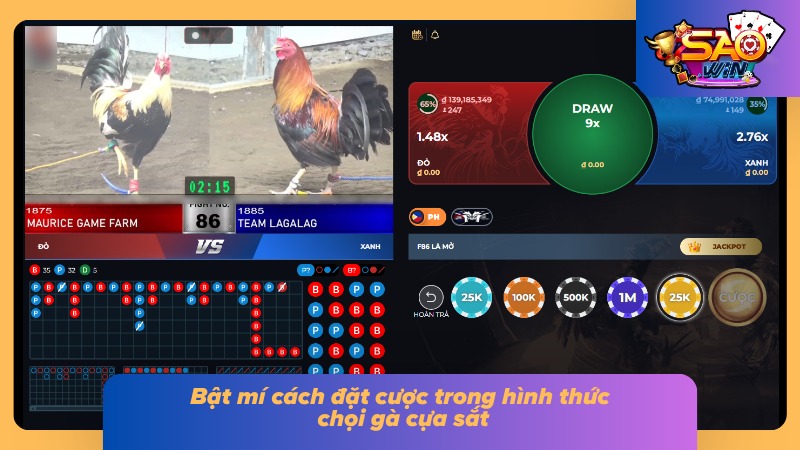 04 điểm khác biệt của hai hình thức Cockfighting siêu hot